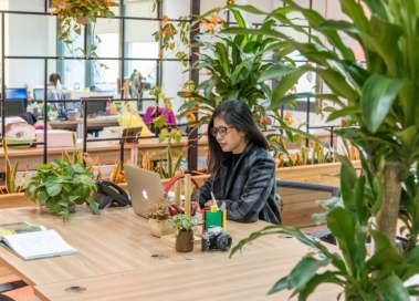 Công ty thiết kế kiến trúc không gian mở với giải pháp không gian sống thoáng đãng cho gia chủ yêu thiên nhiên